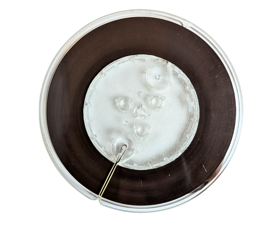 Early Dual-Track Mono Reel-to-Reel Music for High Fidelity Shows (Sampler), (D-8) – Omegatape “JAZZTAPE” Sampler – (Sealed)Artists- 4 Track Reel to Reel Tape, 7 1/2 IPS